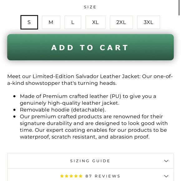 Men Leather Jacket - Picture 4 of 7